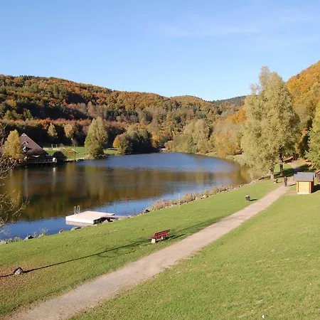 Holunder Nah Am Waldsee 3 *