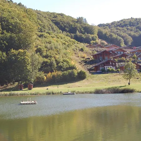 Holunder Nah Am Waldsee 3 *