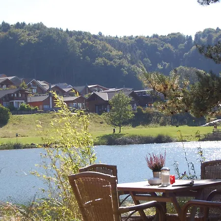 Holunder Nah Am Waldsee 3