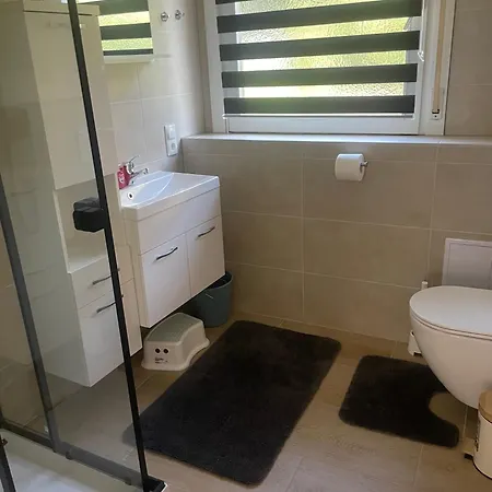 Holunder Nah Am Waldsee 3 Rieden (Mayen-Koblenz)