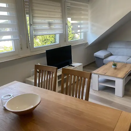 Holunder Nah Am Waldsee 3 Rieden (Mayen-Koblenz)