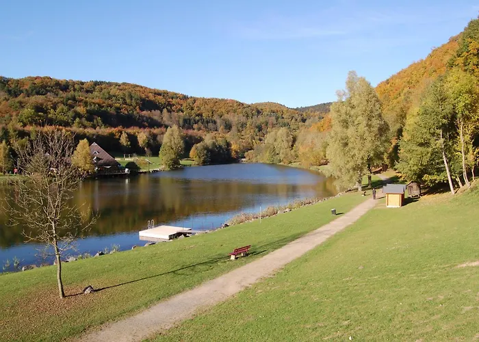 Holunder Nah Am Waldsee 3 *