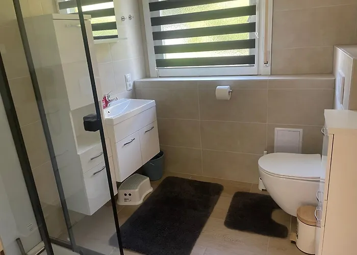 Holunder Nah Am Waldsee 3