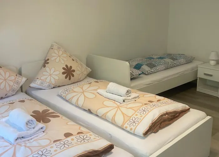 Holunder Nah Am Waldsee 3