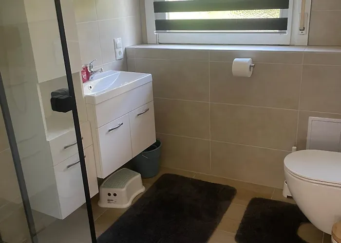 Holunder Nah Am Waldsee 3 Rieden (Mayen-Koblenz)