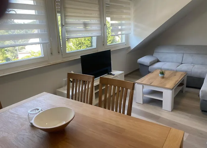 Holunder Nah Am Waldsee 3 Rieden (Mayen-Koblenz)