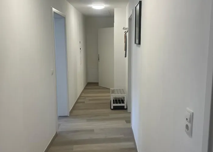 Holunder Nah Am Waldsee 3